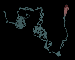 Abyssal Forest
