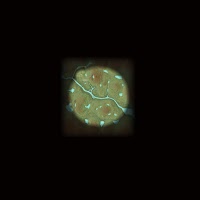 Cuatro Colinas Game Reserve